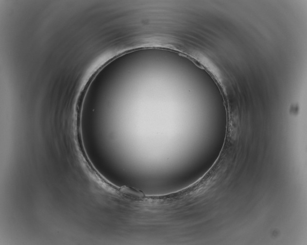 X0000097481096200802221346