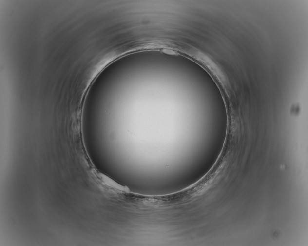 X0000097481097200802221346
