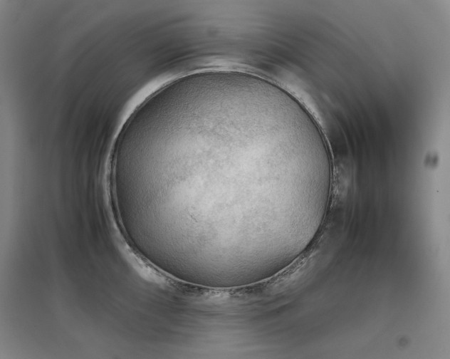 X0000097481098200802221346