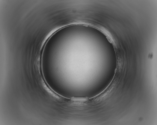 X0000097481100200802221346