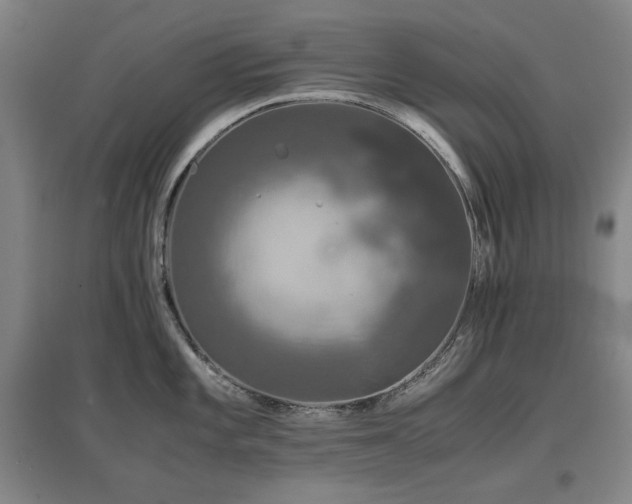 X0000097481101200802221346