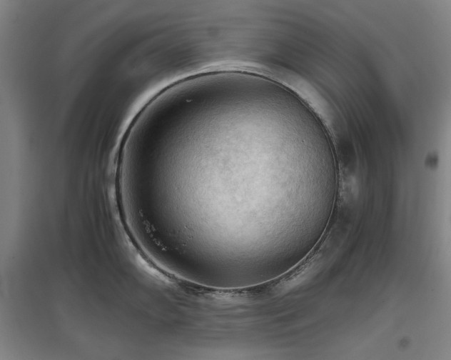 X0000097481102200802221346