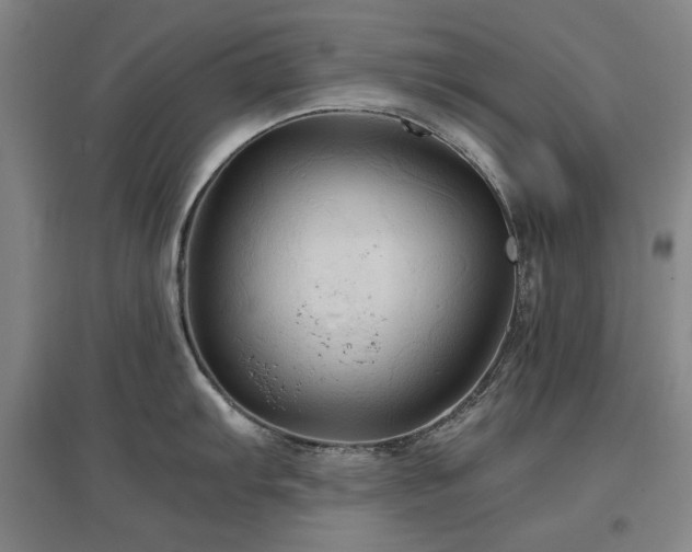 X0000097481103200802221346