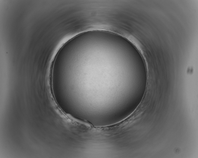 X0000097481104200802221346