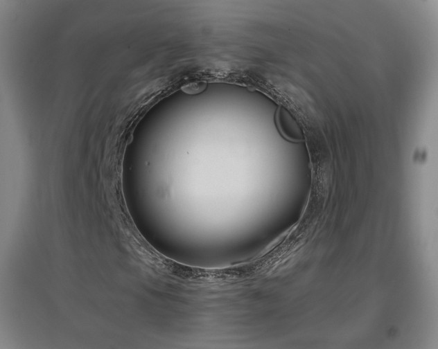 X0000097481105200802221346