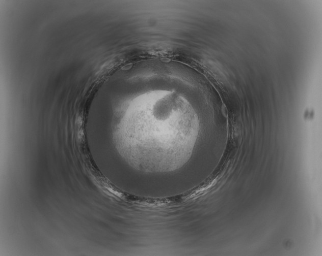 X0000097481106200802221346