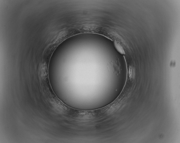 X0000097481107200802221346
