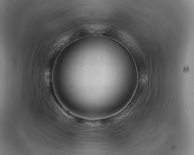 X0000097481108200802221346