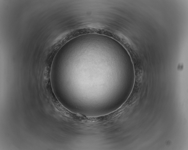 X0000097481110200802221346