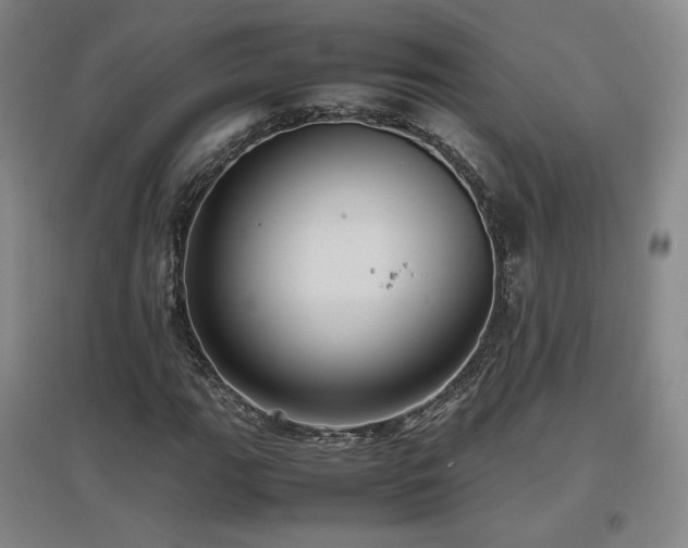 X0000097481111200802221346