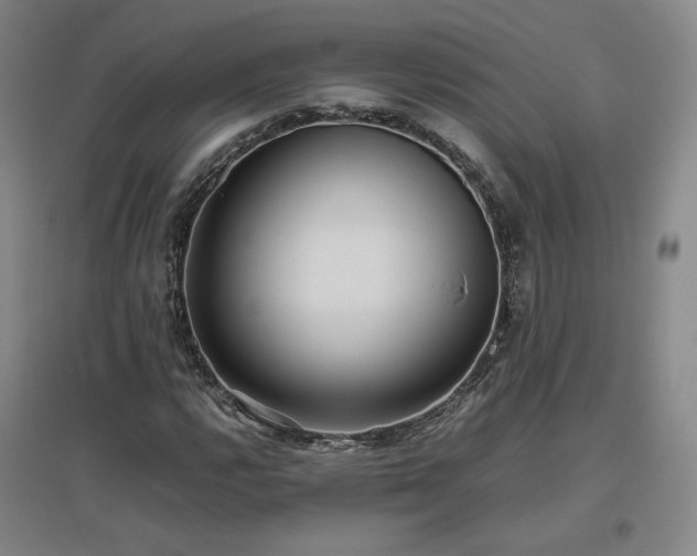 X0000097481112200802221346