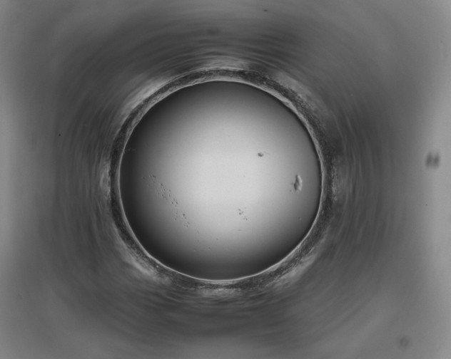 X0000097481113200802221346