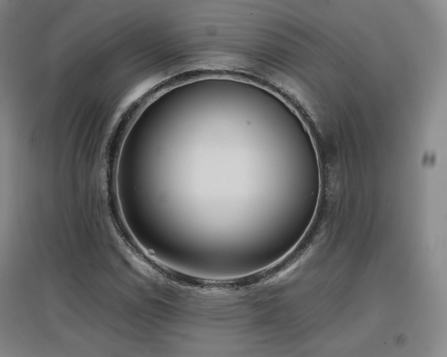 X0000097481114200802221346
