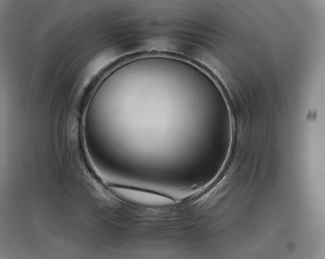 X0000097481115200802221346