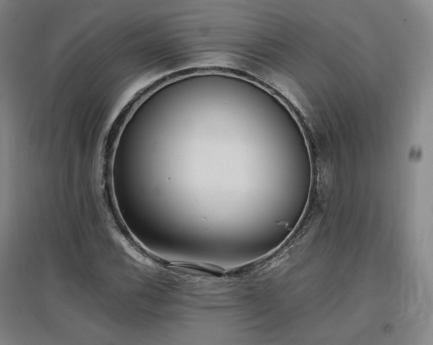X0000097481116200802221346