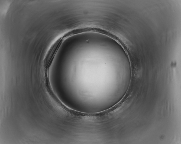 X0000097481118200802221346