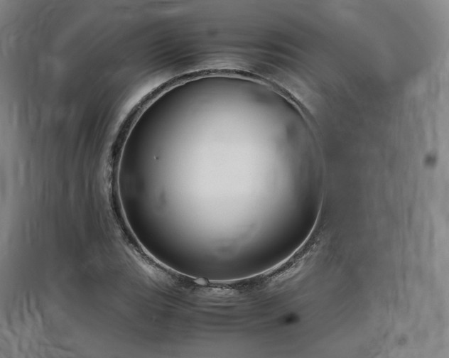 X0000097481119200802221346