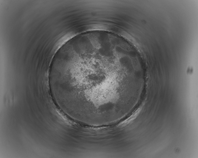 X0000097481121200802221346