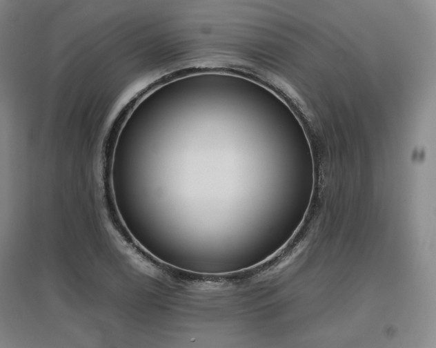 X0000097481122200802221346