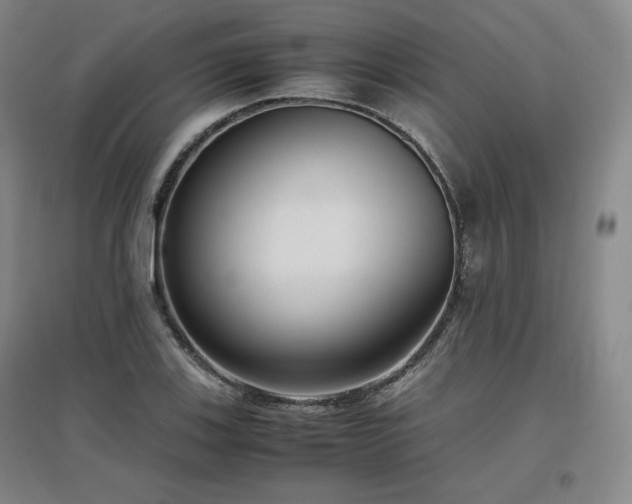 X0000097481123200802221346