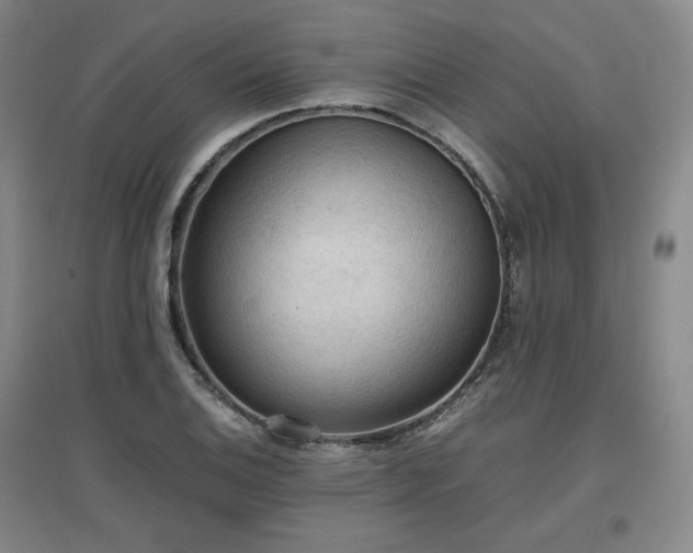 X0000097481124200802221346