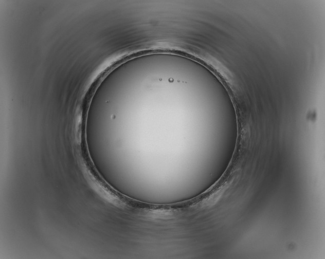 X0000097481126200802221346