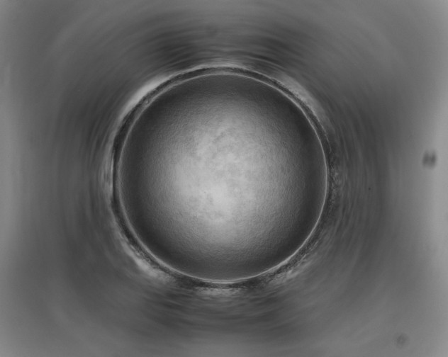 X0000097481127200802221346
