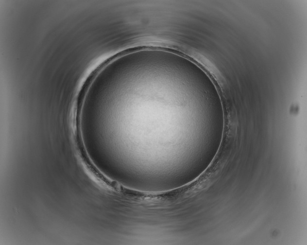 X0000097481128200802221346