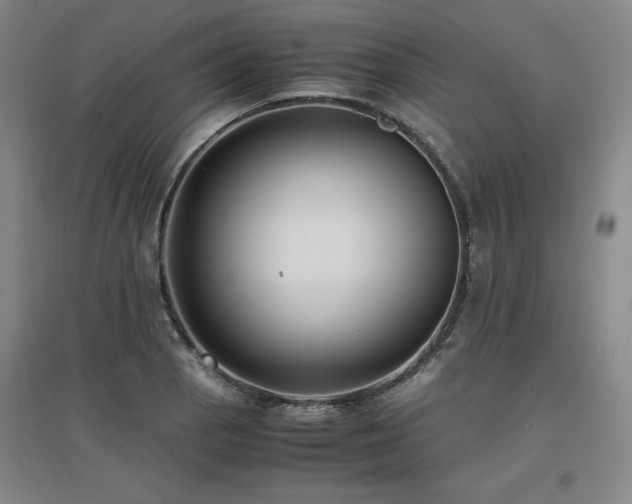 X0000097481129200802221346