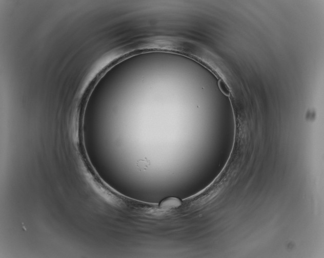 X0000097481131200802221346