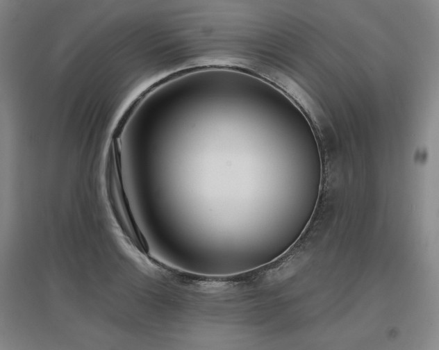 X0000097481132200802221346