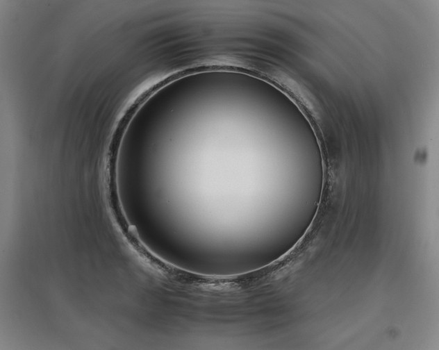 X0000097481133200802221346