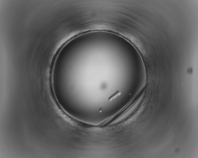 X0000097481134200802221346