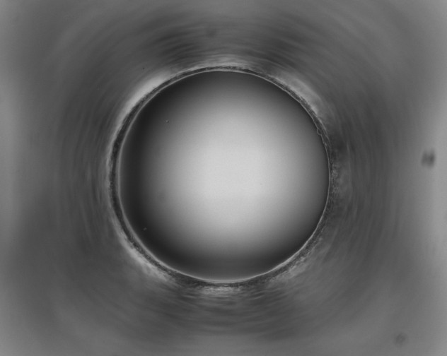 X0000097481135200802221346