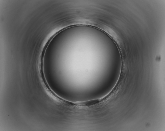 X0000097481136200802221346