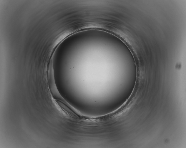 X0000097481137200802221346