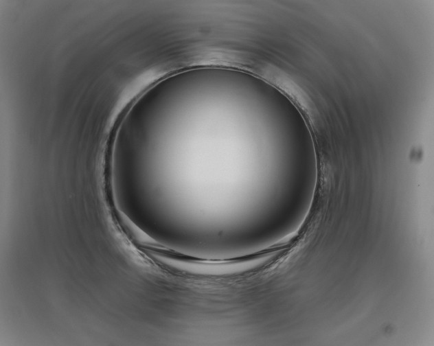 X0000097481138200802221346