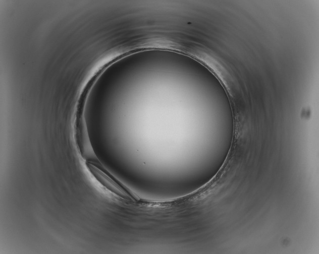 X0000097481139200802221346