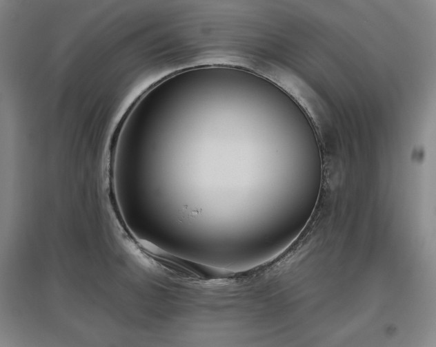 X0000097481140200802221346