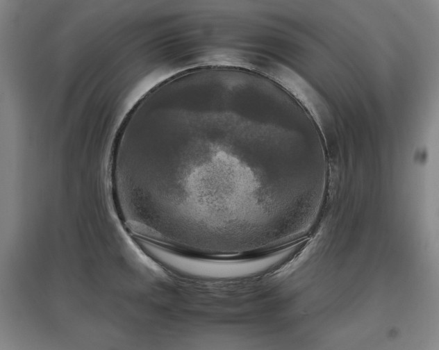 X0000097481141200802221346