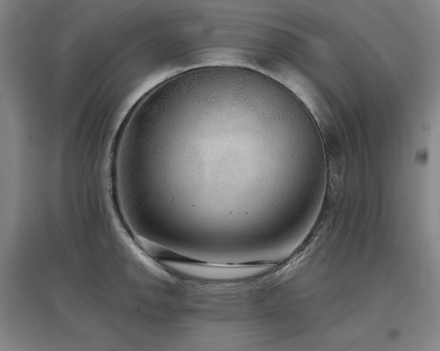 X0000097481142200802221346