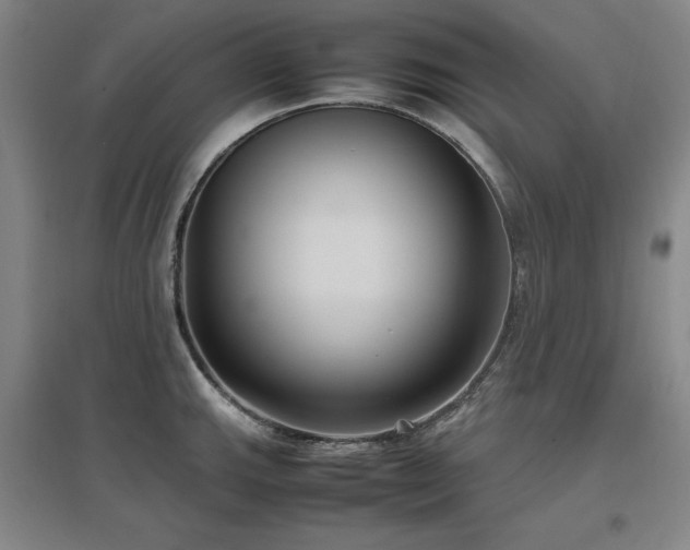 X0000097481143200802221346