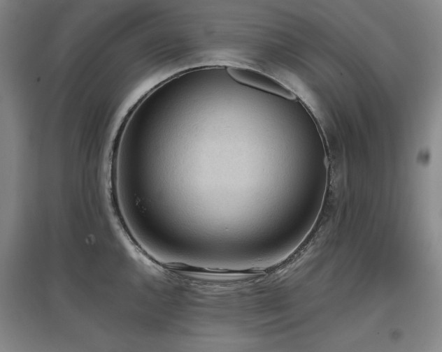 X0000097481144200802221346