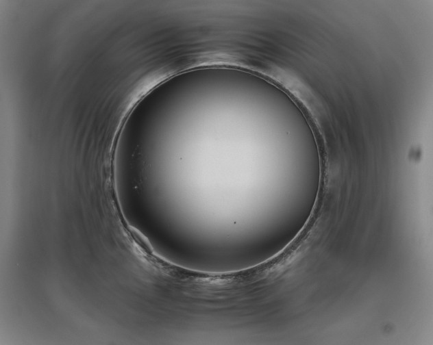 X0000097481145200802221346
