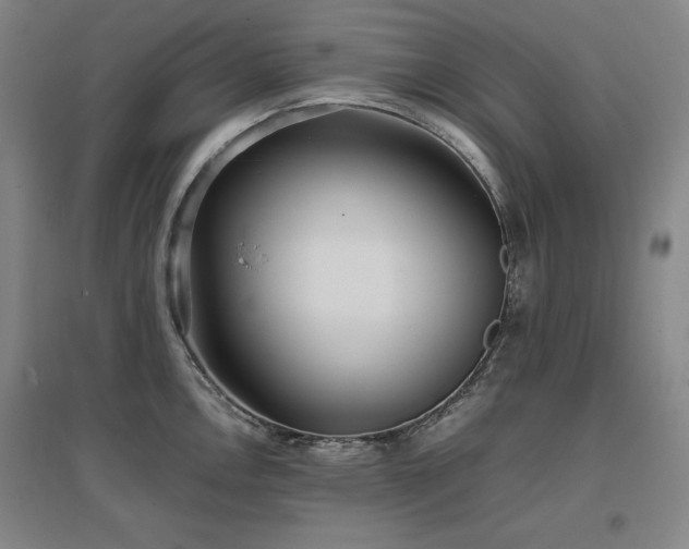 X0000097481146200802221346