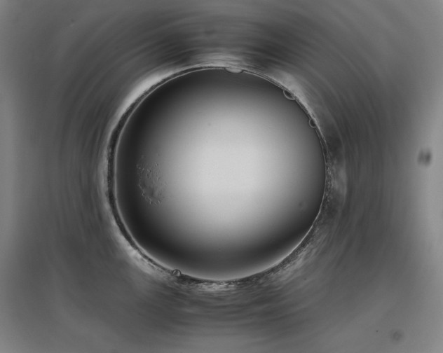 X0000097481147200802221346
