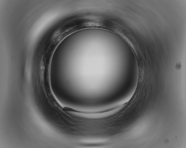 X0000097481151200802221346