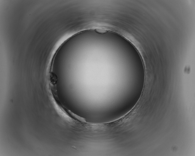 X0000097481152200802221346