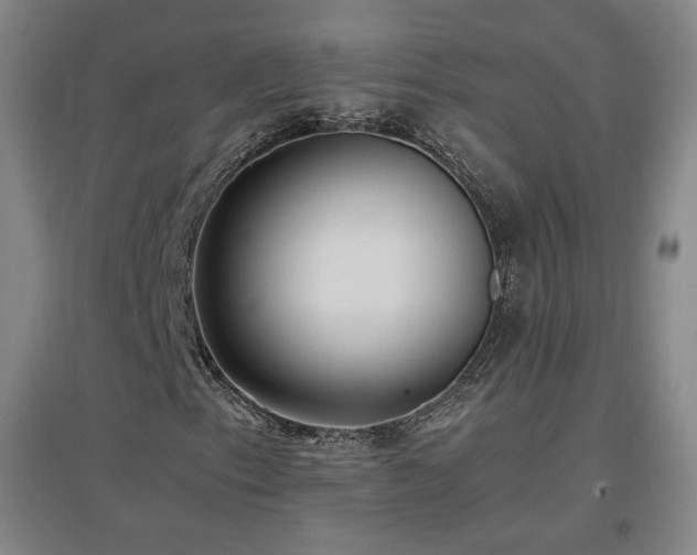 X0000097481153200802221346