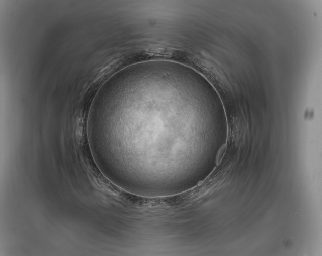 X0000097481154200802221346
